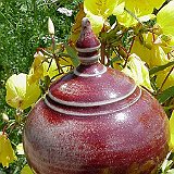 boule de tuteur